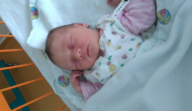 Lenička Ouředníková