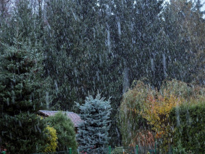 Srubec, autor Miroslav Kusbach