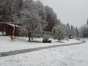 Strážné, autor Tereza Zelendová