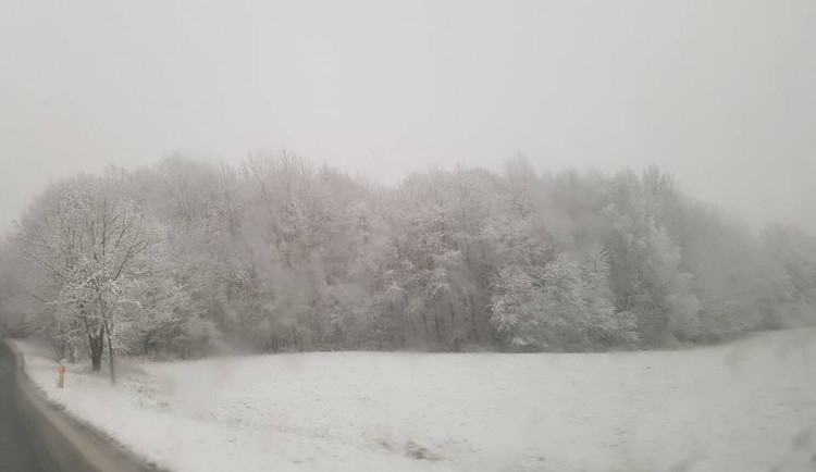 Volary, autor Martina Antošová