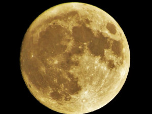 Foto Janina Dvořáková