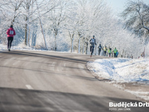 E.ON Silvestrovský běh 2016