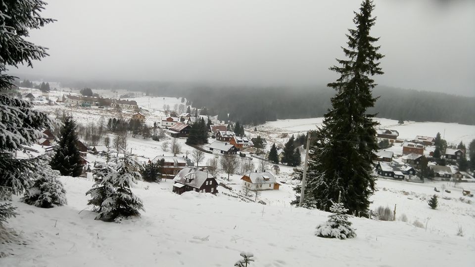 Kvidla, autor JustifyLau Vlastička Maršíková