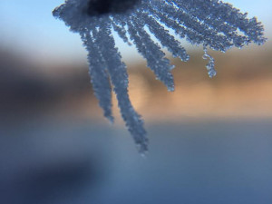 Autor: Stanislav Kosáček