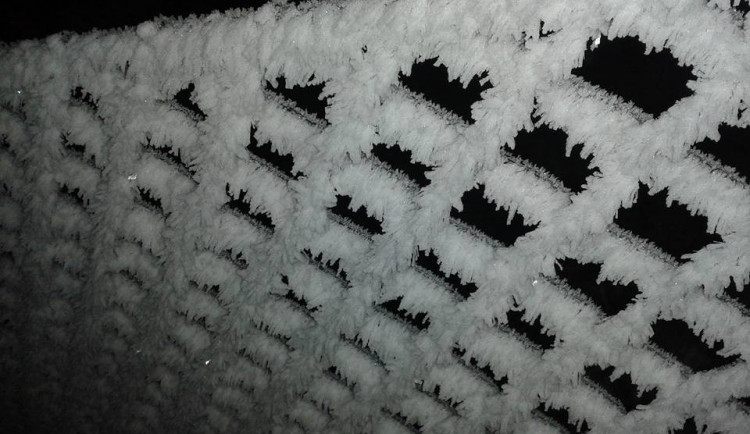 Autor: Jana Zemanová