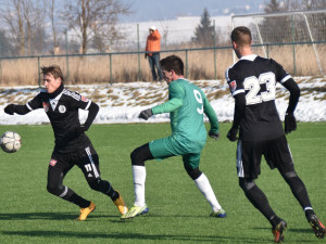 Příprava: SK Dynamo - Loko Vltavín 3:0