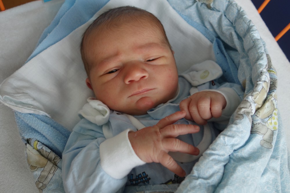 Marek Nikolas Pokorný