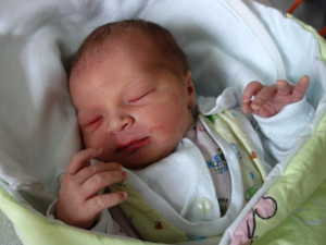 Zuzana Štefániková 