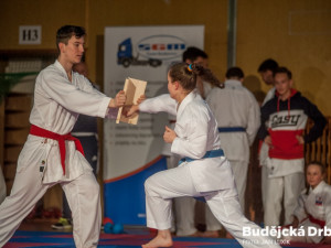 Exhibice TJ Karate České Budějovice a vyhlášení nejlepších závodníků za rok 2016