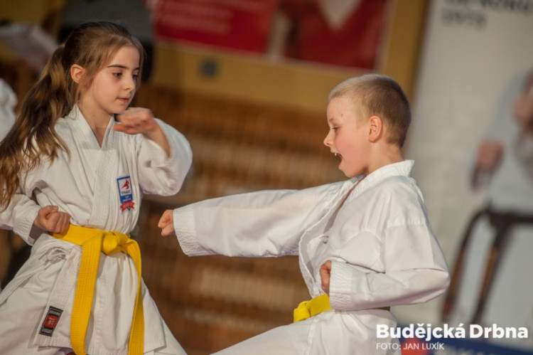 Exhibice TJ Karate České Budějovice a vyhlášení nejlepších závodníků za rok 2016