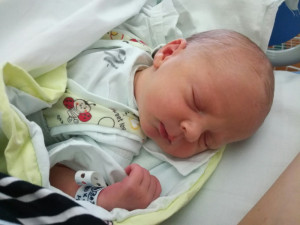 Jakub Rupert Barták