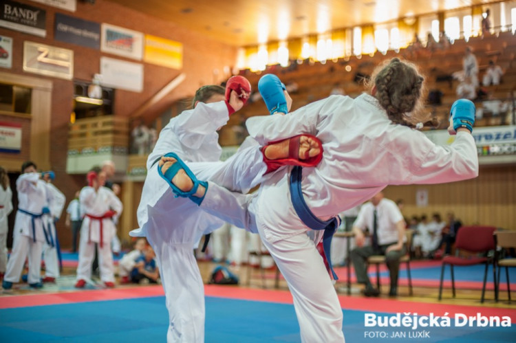 Sparing Camp 8