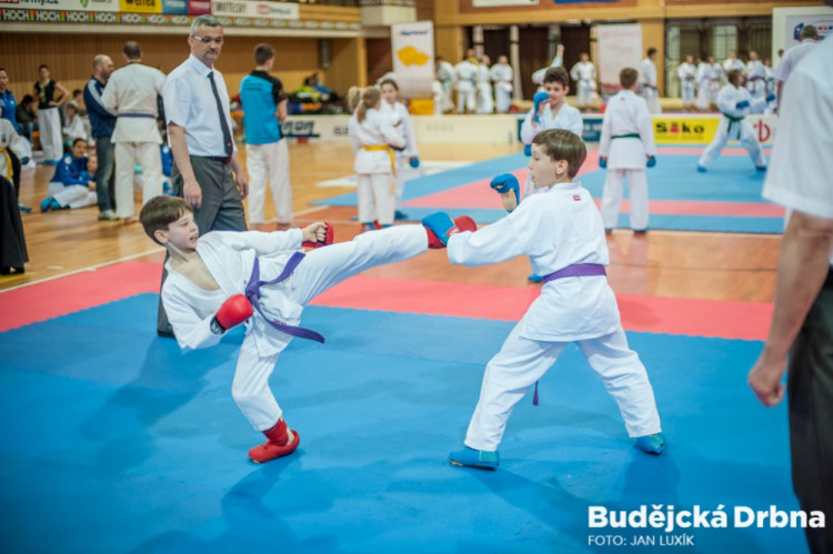 Sparing Camp 8
