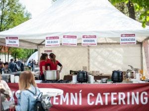 Bosch Fresh Festival v Českých Budějovicích