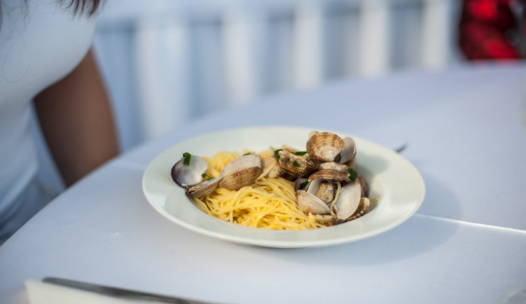 Bosch Fresh Festival v Českých Budějovicích