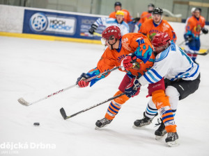 Hokejový turnaj IZS 2017