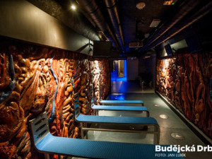 Protidrogový vlak v Českých Budějovicích