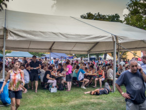 13. ročník Borůvkobraní