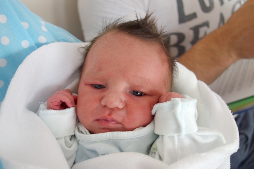 Pelcman Nicholas