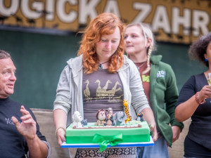 Křest tygra ussurijského. Herec Jan Potměšil mu dal jméno Othello