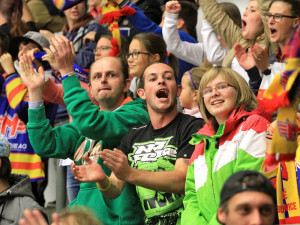 V hledišti to žilo