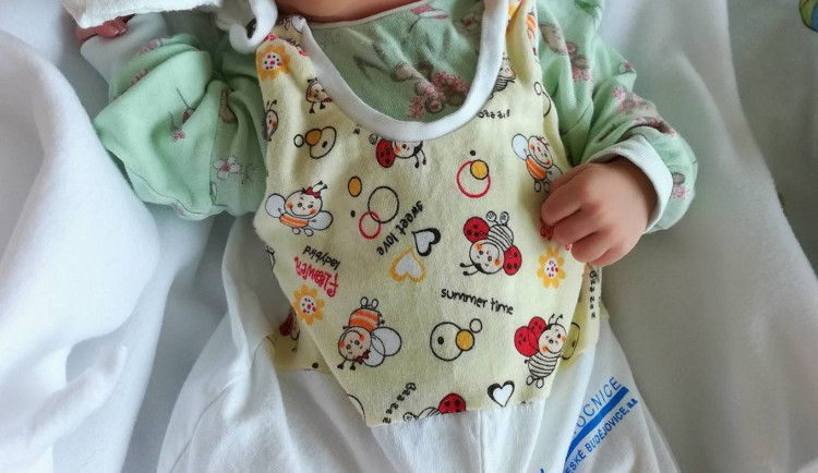 Drbňátka – srpen 2017