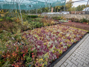 Zahradnictví, které baví. Ve Stříteži si na své přijdou velcí i malí