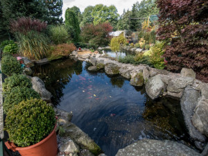 Zahradnictví, které baví. Ve Stříteži si na své přijdou velcí i malí