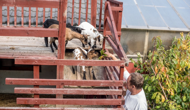 Zahradnictví, které baví. Ve Stříteži si na své přijdou velcí i malí