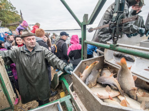 Slavnostní výlov Rožmberku je za námi. Akce přílákala masy lidí