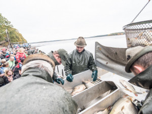 Slavnostní výlov Rožmberku je za námi. Akce přílákala masy lidí