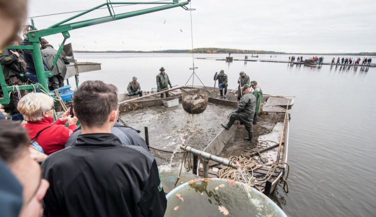 Slavnostní výlov Rožmberku je za námi. Akce přílákala masy lidí