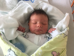 Mikuláš Ferjančič