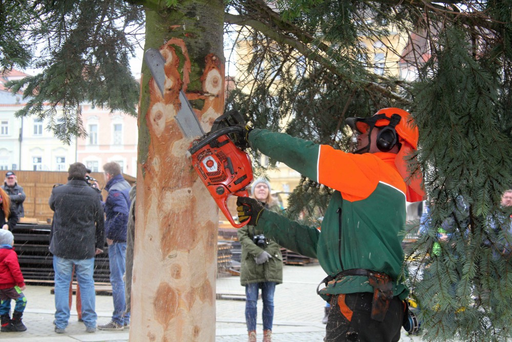Usazování vánočního stromu na budějcké náměstí