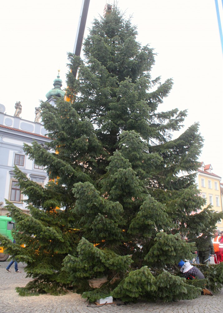 Usazování vánočního stromu na budějcké náměstí