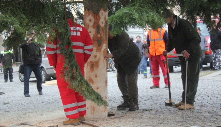 Usazování vánočního stromu na budějcké náměstí