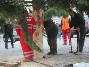 Usazování vánočního stromu na budějcké náměstí