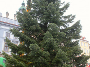 Usazování vánočního stromu na budějcké náměstí