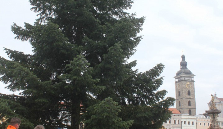 Usazování vánočního stromu na budějcké náměstí