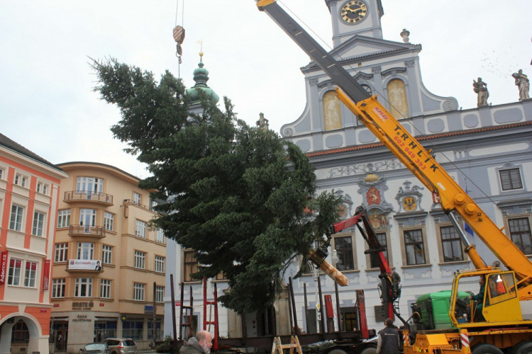Usazování vánočního stromu na budějcké náměstí