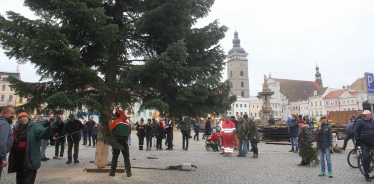 Usazování vánočního stromu na budějcké náměstí