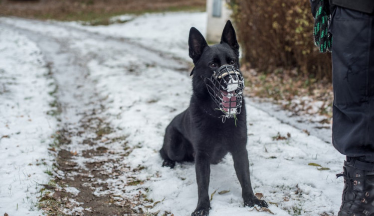 Policisté kontrolují chaty a chalupy