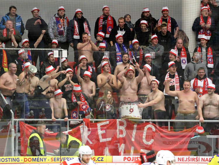 Otužilci z Vysočiny