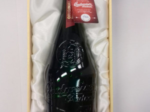 Jihočeši se osobně setkali s papežem Františkem