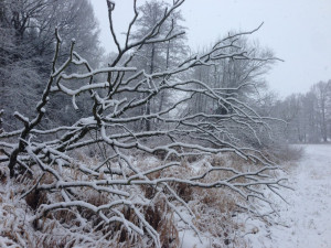 Zasněžená krajina v hledáčku Jihočechů