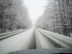 Zasněžená krajina v hledáčku Jihočechů