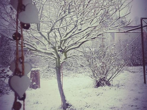 Zasněžená krajina v hledáčku Jihočechů