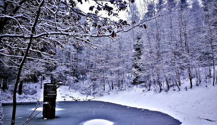 Zasněžená krajina v hledáčku Jihočechů