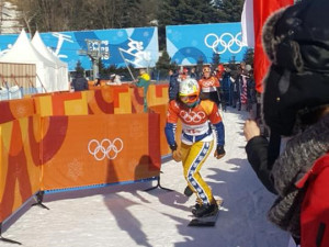 Jihočeši na olympiádě v Koreji