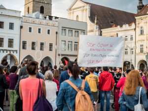 Protest proti plíživé totalitě ANO